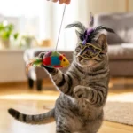 Funny Girl Cat Names